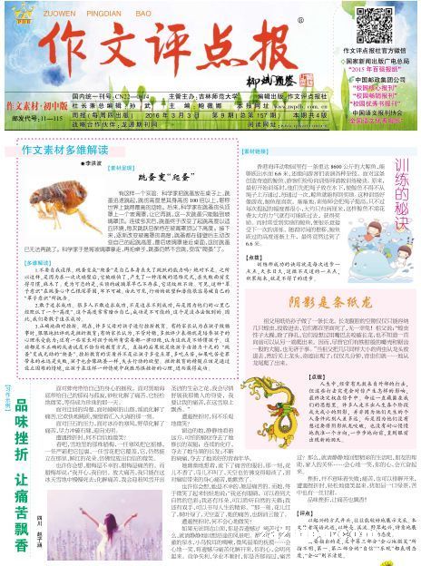乐趣的作文999字？
